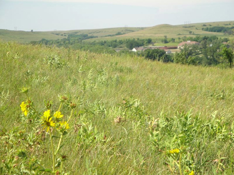 Scientists have found that U.S. Midwest drought reduced prairie grass growth most in June.: Photograph courtesy of NSF Konza Prairie LTER Site