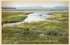 Lewis and Clark National Wildlife Refuge.: Photograph courtesy of NOAA